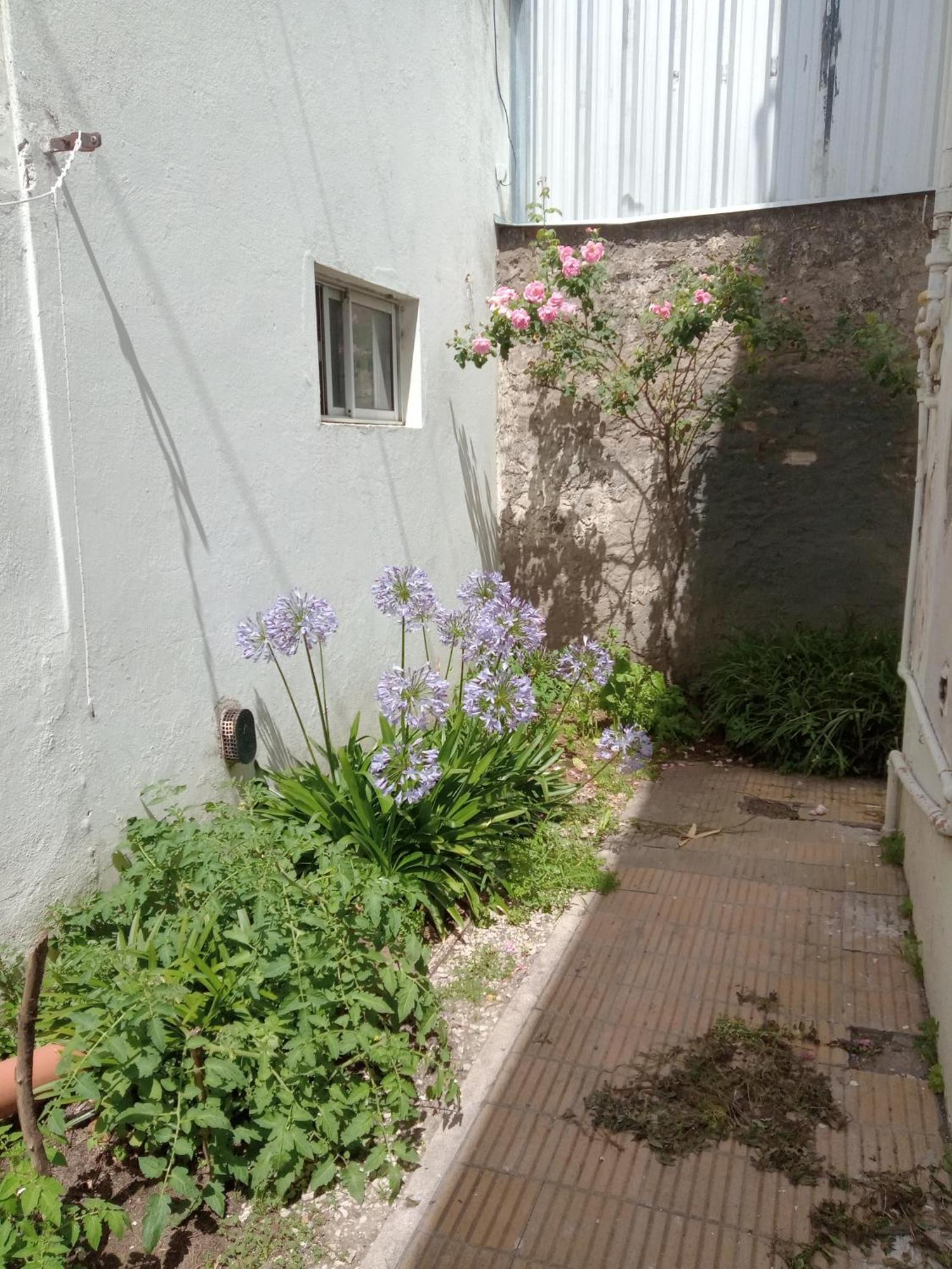 Departamento Ph Amplio Rotonda * Necochea